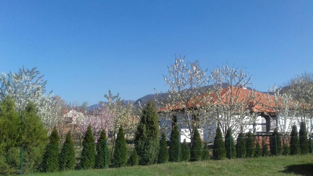 House Milovanovic Soko Banja Bagian luar foto