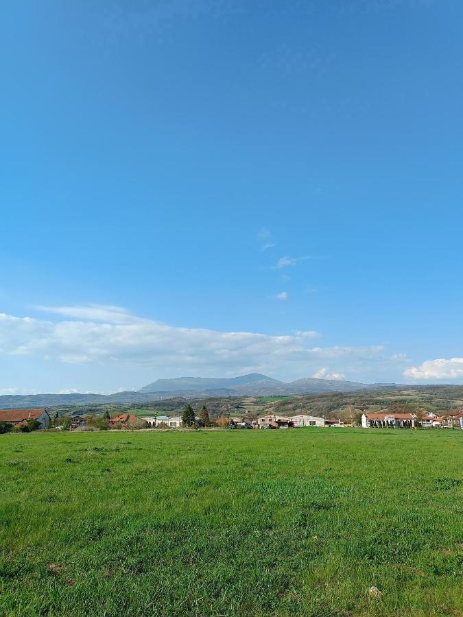House Milovanovic Soko Banja Bagian luar foto