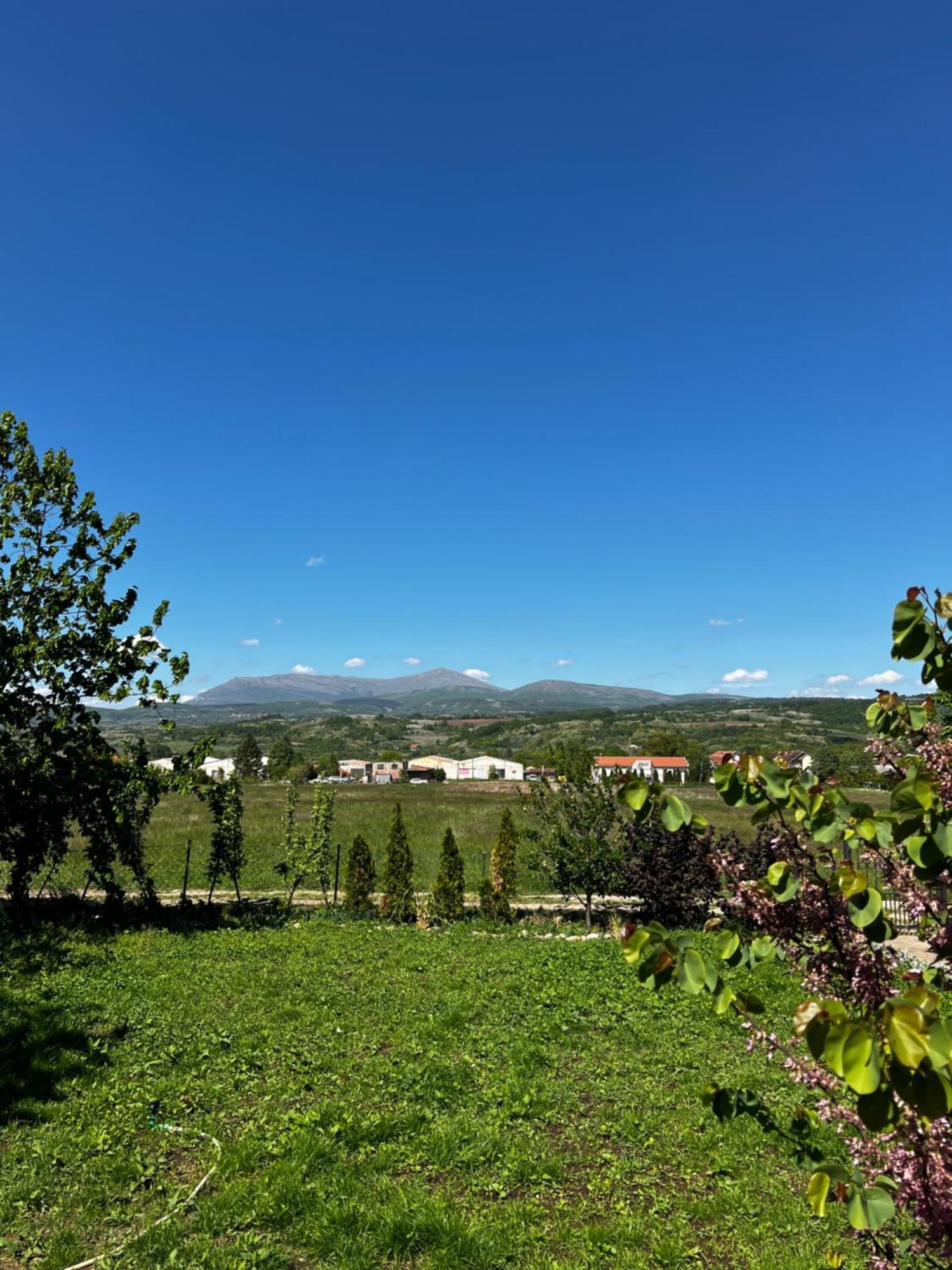 House Milovanovic Soko Banja Bagian luar foto