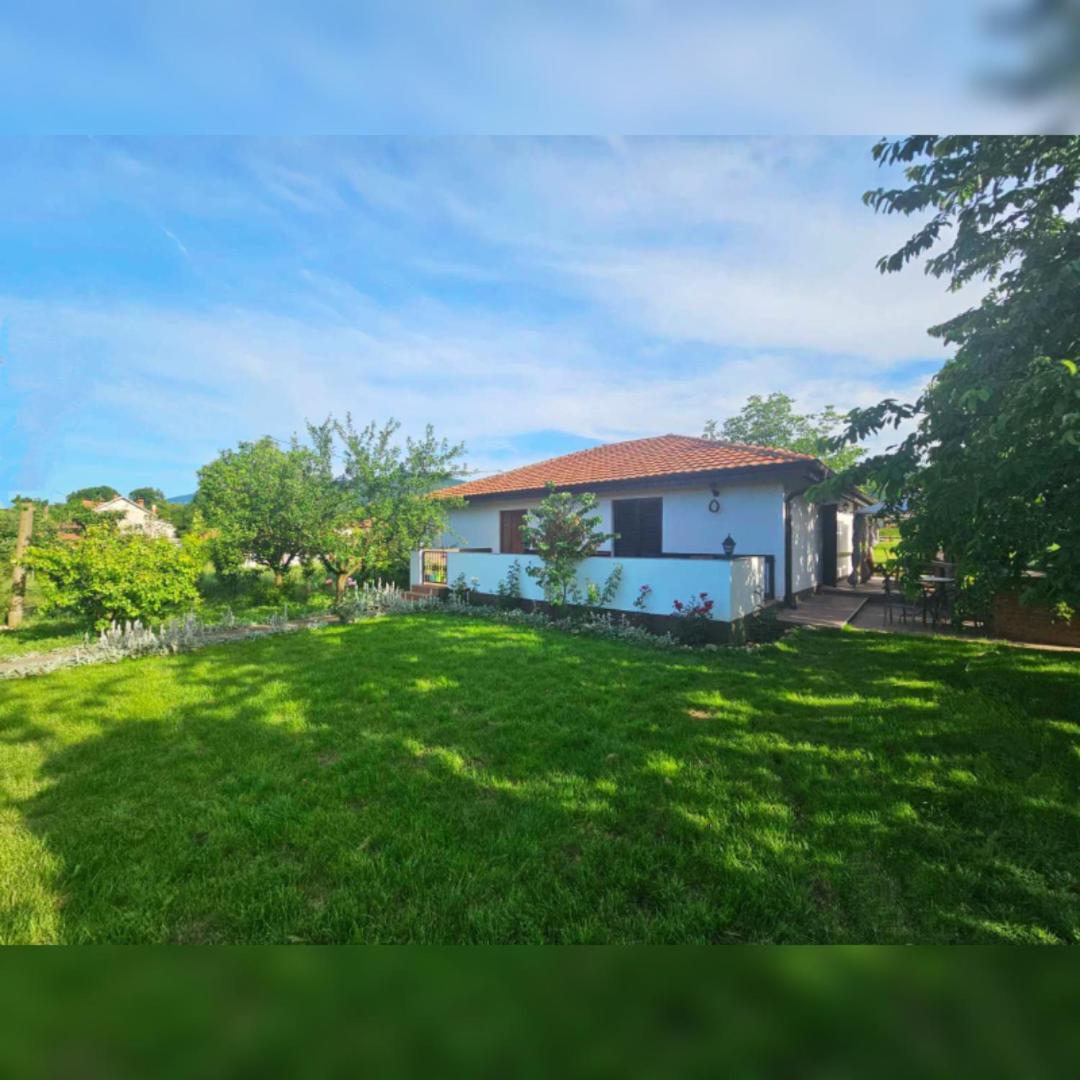 House Milovanovic Soko Banja Bagian luar foto