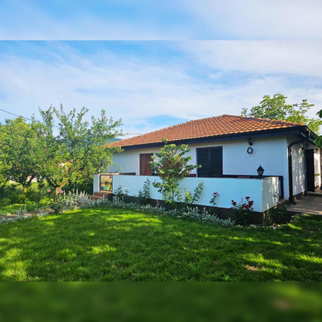 House Milovanovic Soko Banja Bagian luar foto